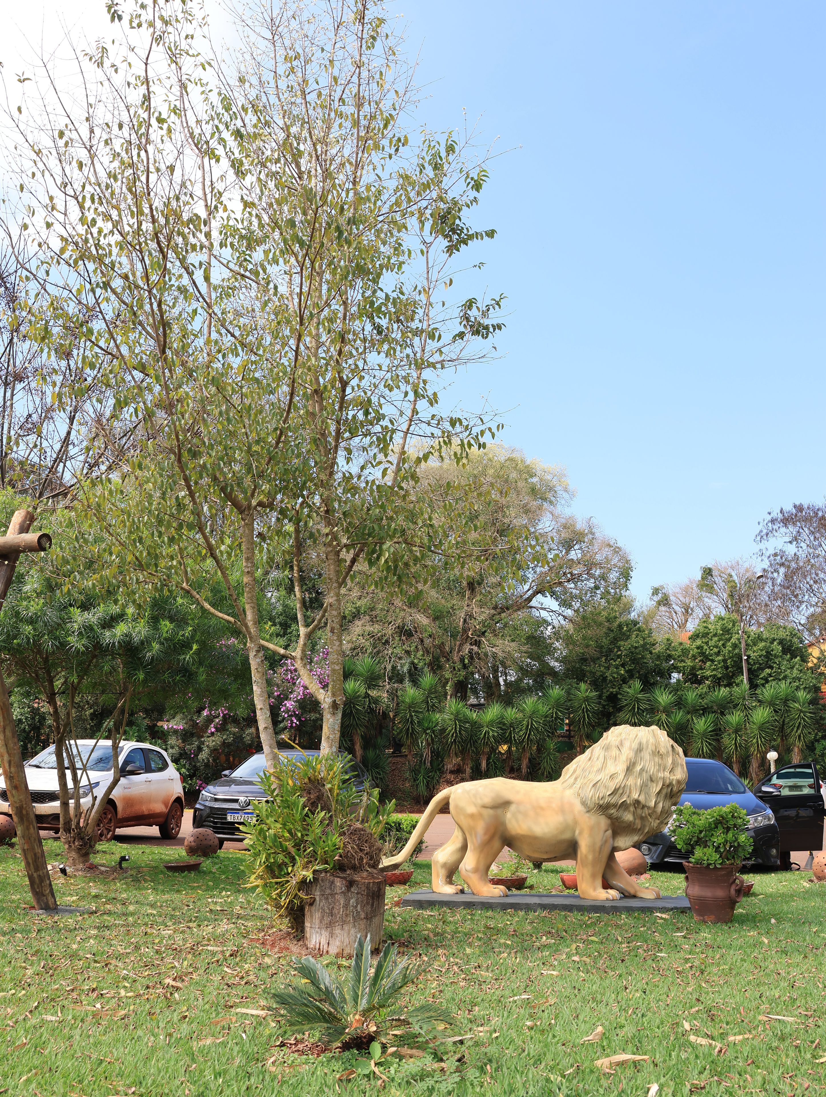 A park with a lion statue, trees, and parked cars.