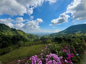 Miscellaneous - Luxury DOME House in the mountains Pérez Zeledón - solo 4x4 vehicle (La Ese)