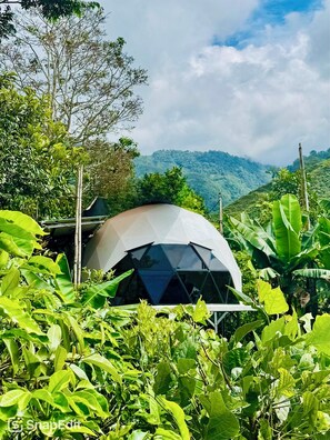 Miscellaneous - Luxury DOME House in the mountains Pérez Zeledón - solo 4x4 vehicle (La Ese)