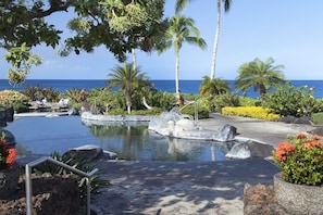 Piscine chauffée