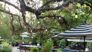 Un área de patio al aire libre con mesas y sillas, rodeada de plantas en macetas y una piscina.
