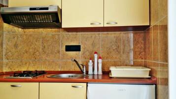 Apartment (Two-Bedroom Apartment With Terrace An) | Private kitchen | Fridge