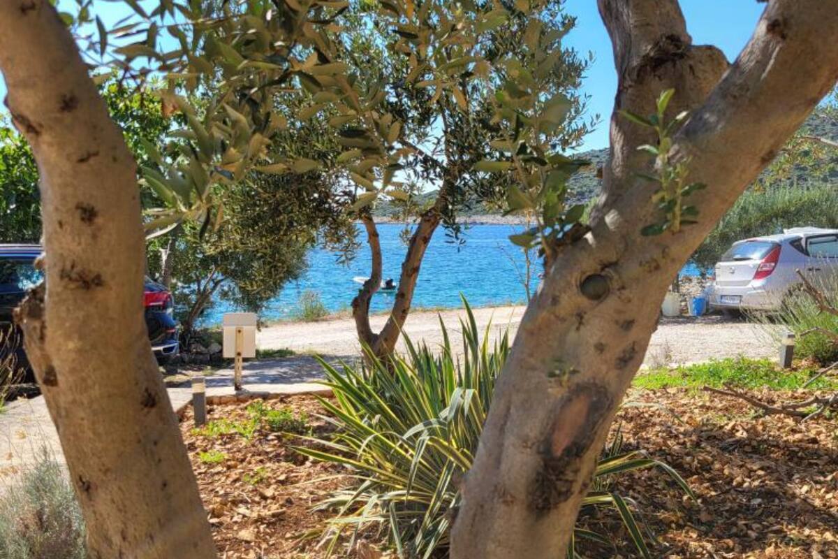 A coastal area with trees and parked cars, overlooking a body of water.