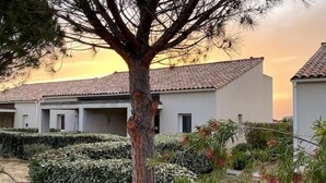 Un edificio con techo de tejas y un árbol en primer plano.