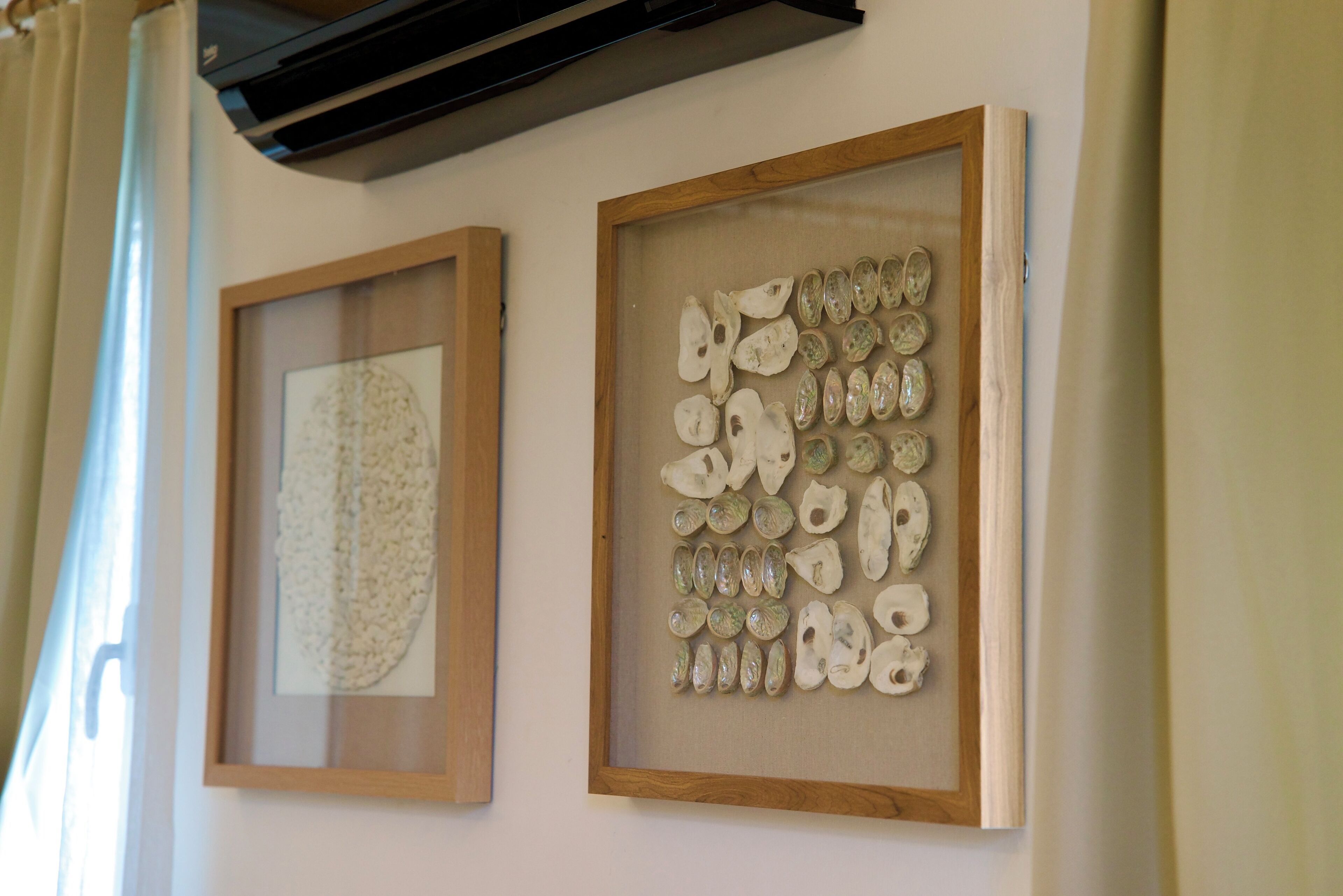 Two framed artworks on a wall, one with a textured pattern and the other with a collection of shells.