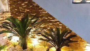 A modern interior with a decorative wall and a built-in planter with tropical plants. - 3 bedrooms Duplex 90 st. parkmall residence (New Cairo City)