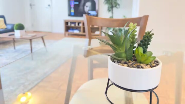 Una sala de estar con una planta en maceta sobre una mesa de vidrio, un sofá, un televisor y una estantería.