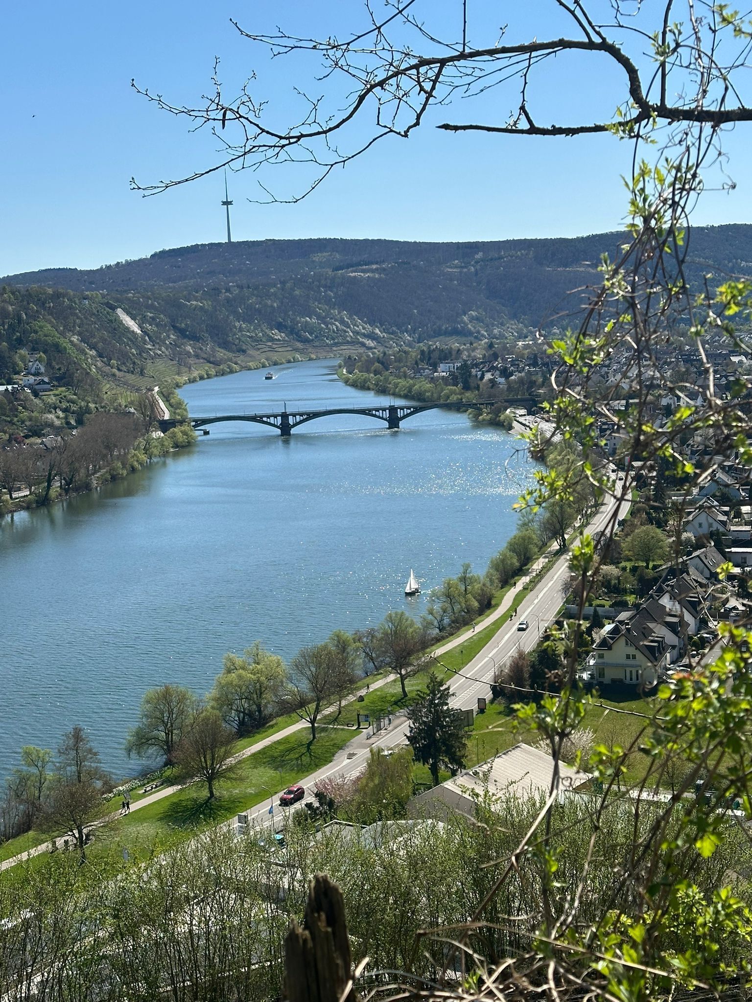 A river with a bridge, surrounded by greenery and residential buildings.