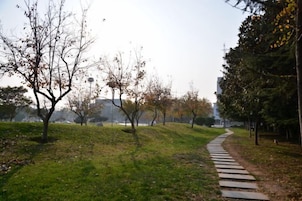 A pathway through a park with trees and a distant view of buildings.