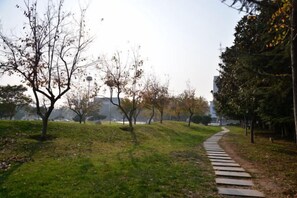 A pathway through a park with trees and a distant view of buildings. - Taixi Hotel (Feicheng)