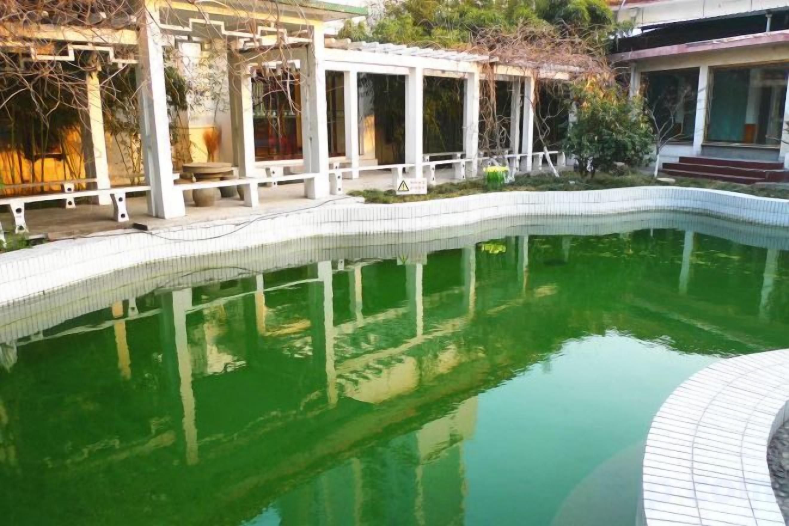 Una piscina con borde de azulejos, rodeada por una estructura blanca con columnas y una zona cubierta.