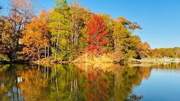 A calm lake reflecting colorful autumn trees.