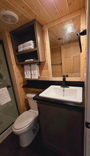 Shower, hair dryer, towels, soap