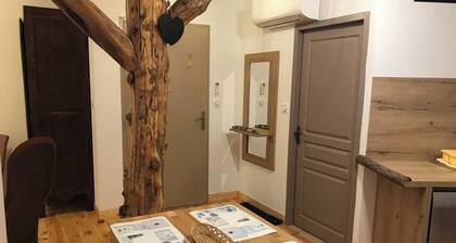 On the rocks of lake T1