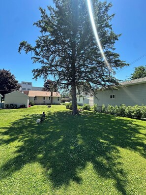 Àrea exterior de l'allotjament