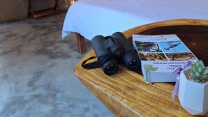 Une chambre à coucher avec un lit, une table en bois sur laquelle se trouvent des jumelles, un livre et une plante succulente.