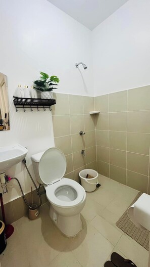 Dusche, Haartrockner, Bidet, Handtücher