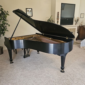A grand piano in a room with a fireplace, a television, and a plant. - Waterfront Elegance with Steinway grand (Discovery Bay)