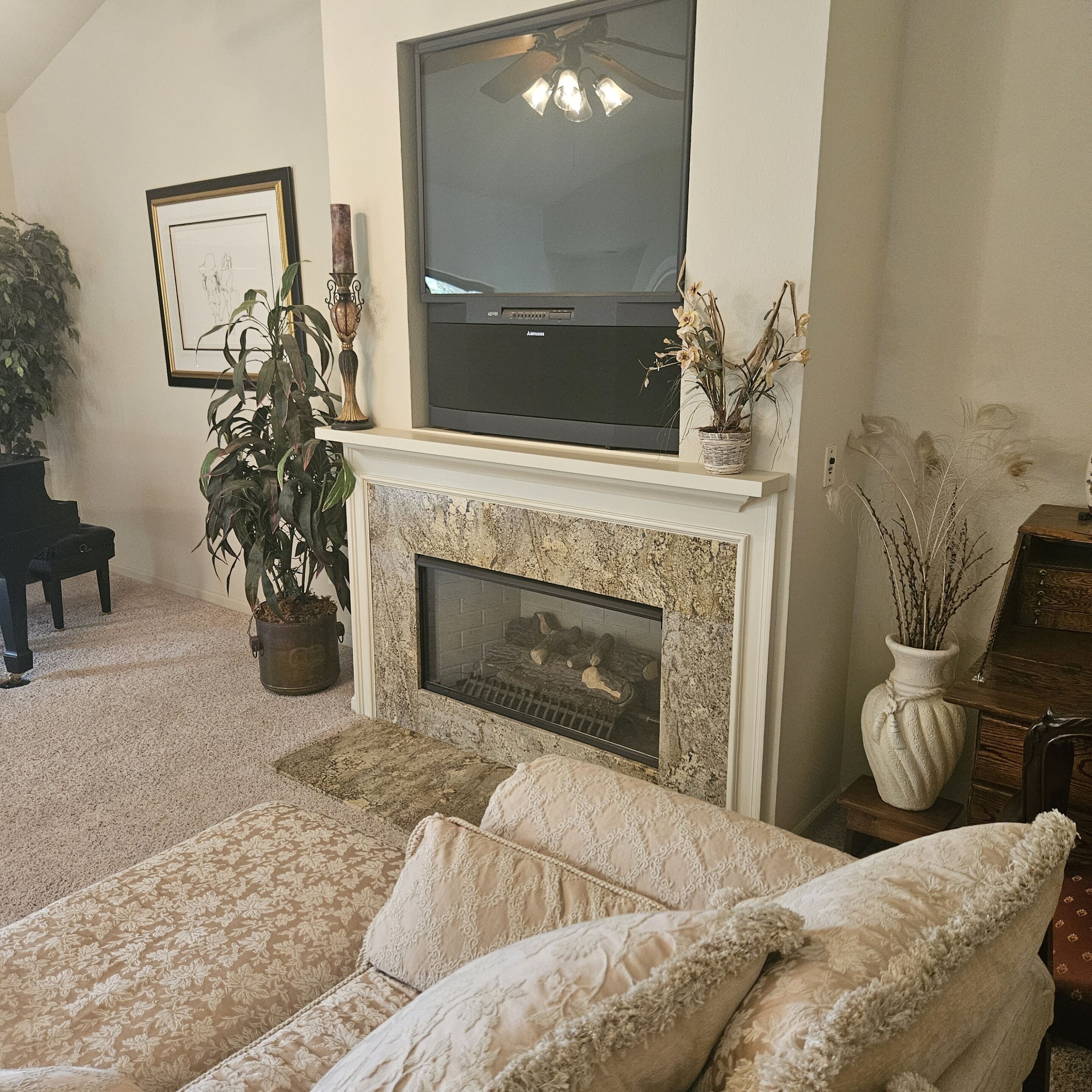 Smart TV, chimenea, reproductor de DVD y libros 