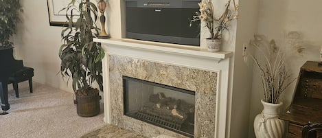Smart TV, chimenea, reproductor de DVD y libros