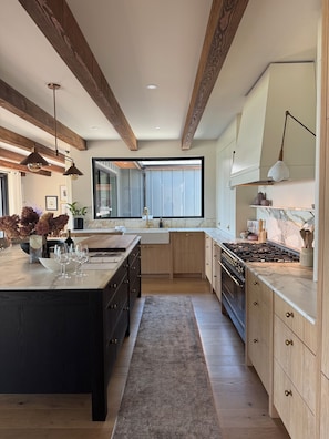 Fridge, oven, stovetop, dishwasher