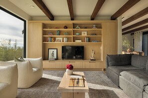 Smart TV, fireplace, books, stereo