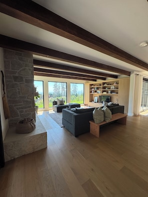 Smart TV, fireplace, books, stereo