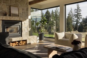 TV connectée, cheminée, livres, chaîne hi-fi