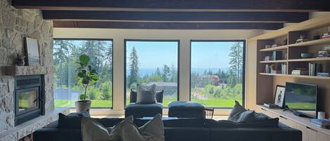 Älytelevisio, takka, kirjoja, stereot