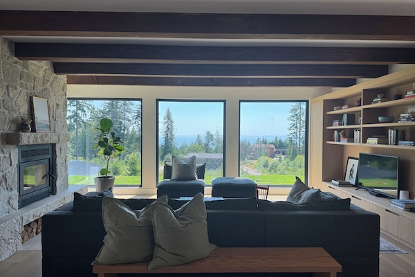 Smart TV, fireplace, books, stereo