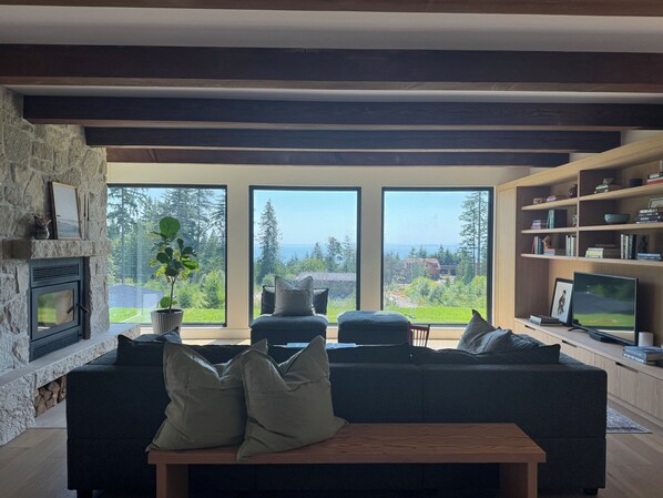 智能電視、壁爐、書籍、音響