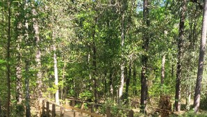 A wooden bridge in a forested area with a sign indicating 'Harmeyer Nature Preserve' and a warning about private property.