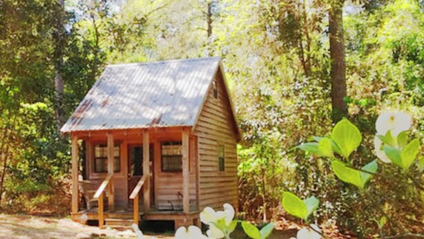 A rustic cabin with a porch, surrounded by trees and foliage.