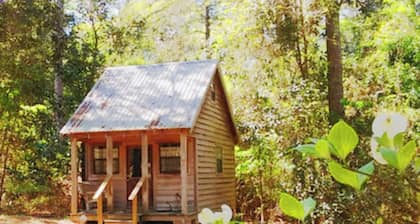 Cabin retreat on 11 wooded acres W of Alexandria; AC WiFi smart TV; 14 night min