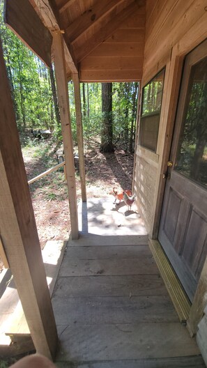 Terrein van de accommodatie