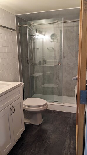 Regadera, secadora de cabello, toallas, jabón 