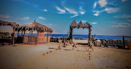 Flamingo Camp