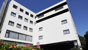 Sınıflandırılmamış resim, 14 üzerinden 3, düğme