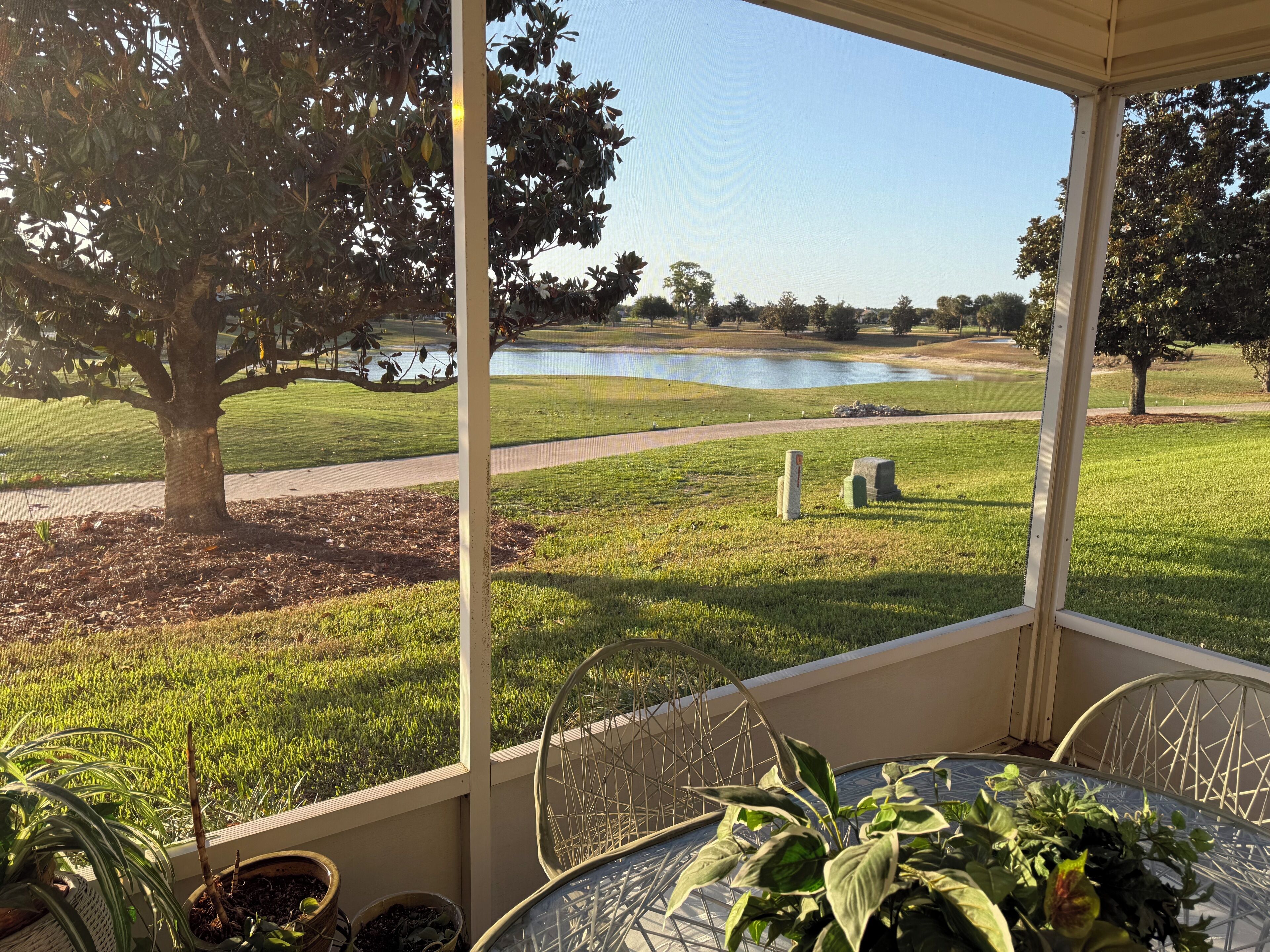 A covered outdoor area with a view of a lake, a tree, and a grassy field.