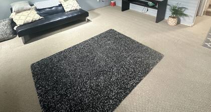 Charming 1-bedroom-1 bath basement suite with AC, WiFi in downtown Souris mb