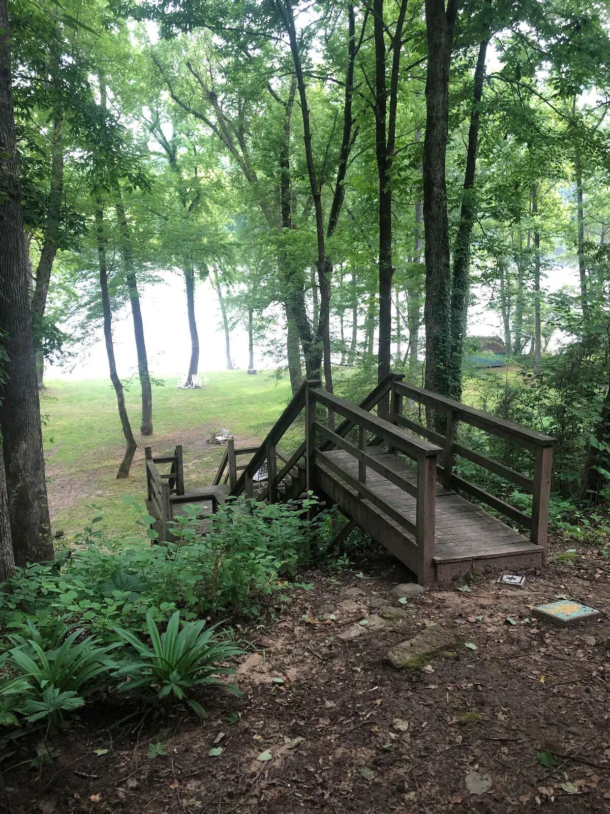 A wooden bridge in a forested area with a grassy field in the background.
