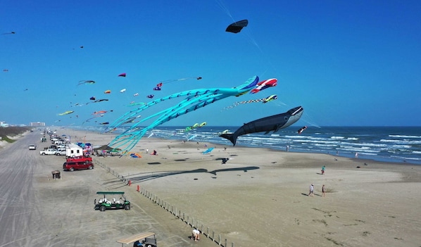 Casa (1 Bedroom) | Interior