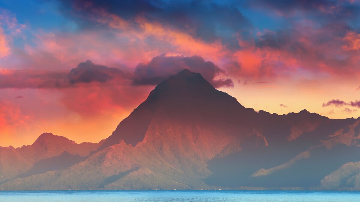 Image de profil de l’hôte