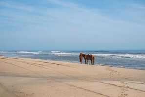 Plage à proximité