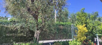 Holiday Home 'Villa Elvira Trilocale' with Private Terrace, Shared Garden and Air Conditioning