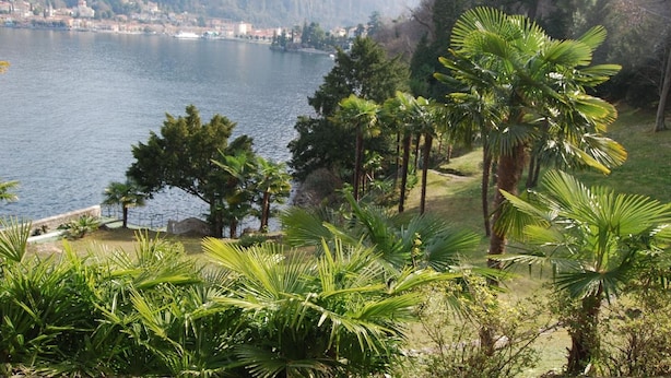 A lake with a mountainous backdrop, surrounded by lush greenery and palm trees. - Apartment 'Tarlarini' with Private Terrace, Private Garden and Wi-Fi (Laveno-Mombello)