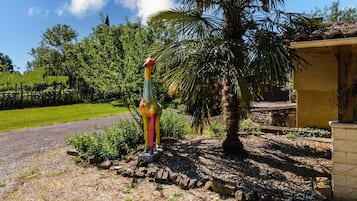 Terrein van de accommodatie