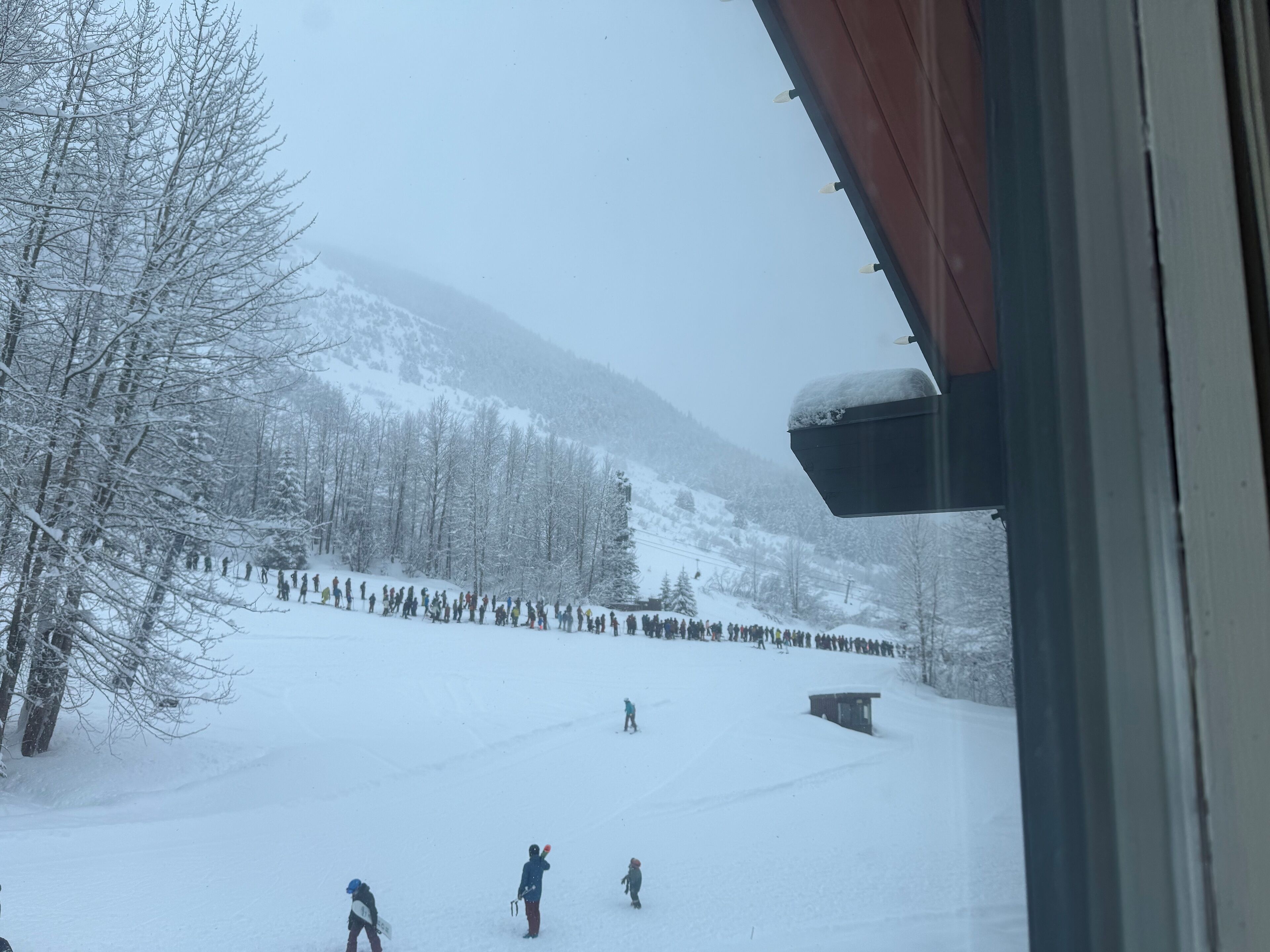 A snowy mountain scene with a ski slope and trees.