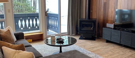 Smart TV, chimenea, reproductor de DVD y libros