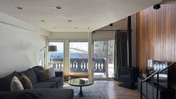 Smart TV, fireplace, DVD player, books